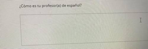 Can u all pls ans this question in Spanish so I can submit it I’m new in Spanish class idk how to s