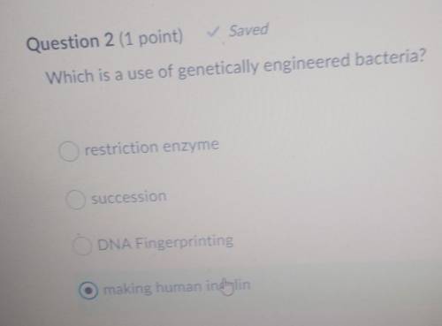 Which is a use of genetically engineered bacteria