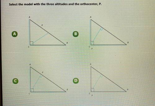 Can someone help me out please I need help ?