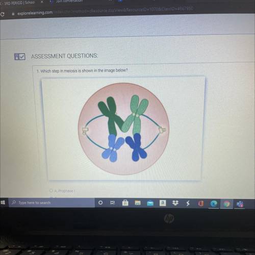 1. Which step in meiosis is shown in the image below?