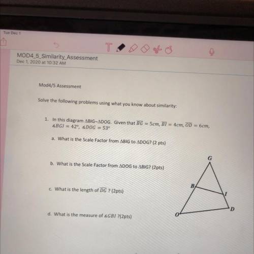 Please help please geometry similarity its urgent