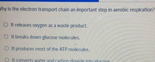 Why is the electron transport chain an important step in aerobic respiration? O It releases oxygen