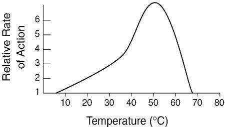 The graph below shows the effect of temperature on the relative rate of action of enzyme X on a sub