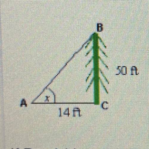 URGENT PLS! the height of the tree is 50 feet. if david is standing at point a which is 14ft from t