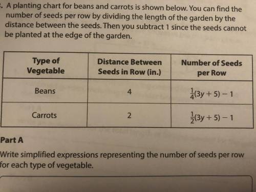 A planting chart for beans and carrots is shown below you can find the number of seeds per row by d