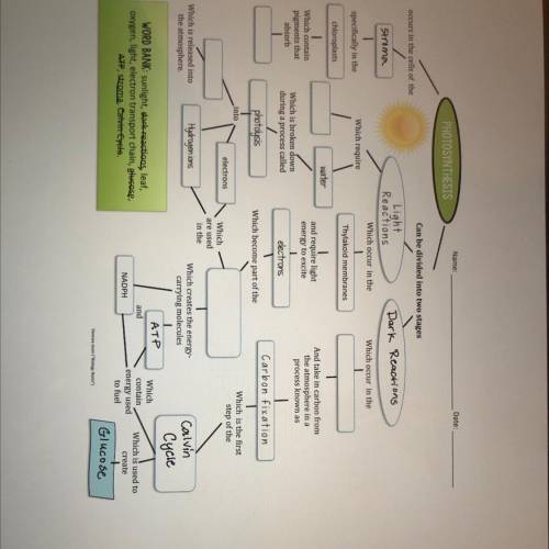 Help!! biology roots photosynthesis filling the blanks.