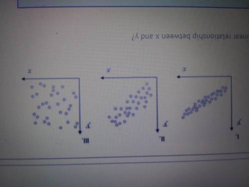 URGENT Which scatterplot suggests a linear function between X and Y?

A) I onlyB) II only C