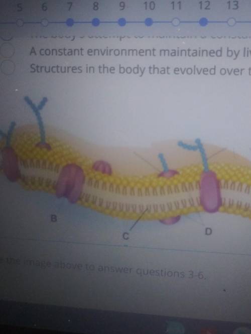 What is the name of this diagram