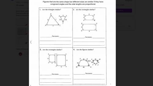 Help me on question 1 please