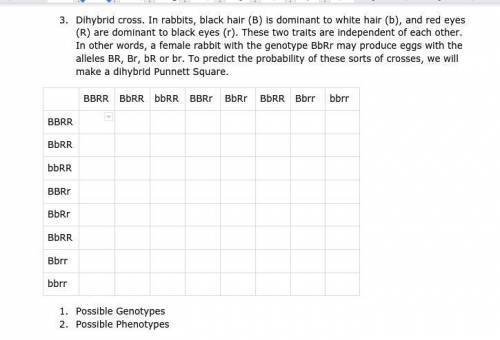 URGENT Solve the punnett square.