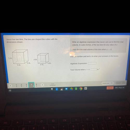 Jaxon has two bins. The bins are shaped like cubes with dimensions shown. Write an algebraic expres