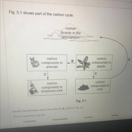 Combustion Decomposition

Excretion Feeding 
Fossilization 
Choose words form the list