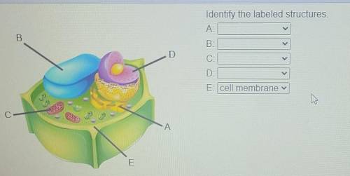 I need help on this please