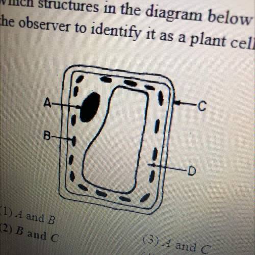 What does B, A, and C represent?