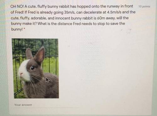 OH NO! A cute, fluffy bunny rabbit has hopped onto the runway in front

of Fred! If Fred is alread