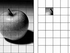 Draw any picture from GRID METHOD drawings and show your drawings here