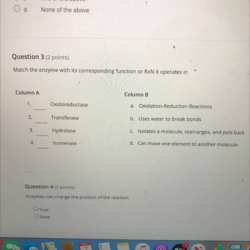 Please help I need these answers