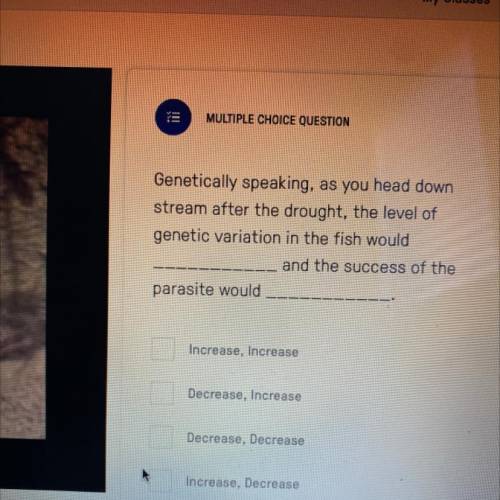 Genetically speaking, as you head down

stream after the drought, the level of
genetic variation i