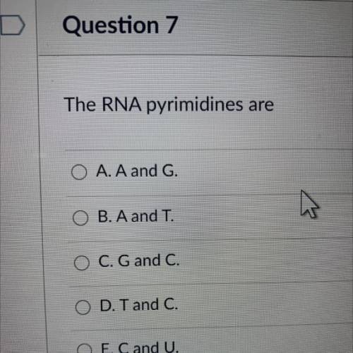 HELP !

The RNA pyrimidines
are
A. A and G.
B. A and T.
C. G and C.
D. T and C.
O E. C and U.