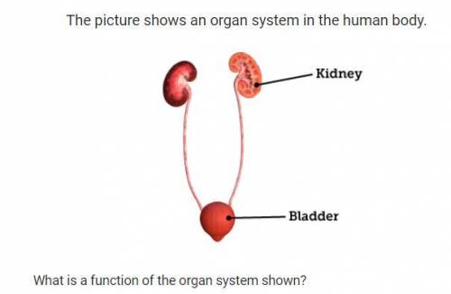 Help me plzz I need help with this question I will pay 25 Points!!