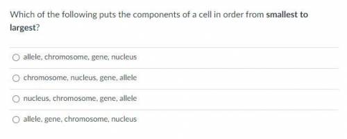 Which of the following puts the components of a cell in order from smallest to largest?