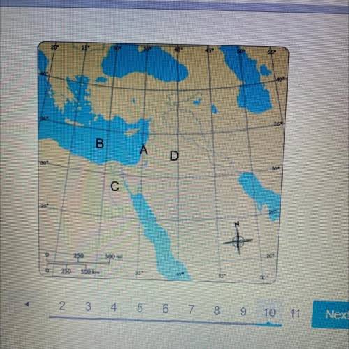 Location D is which place?
O Canaan
O Syrian Desert
O Mediterranean Sea
O Egypt
