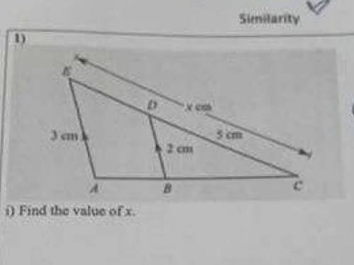 Trying to figure this out, someone pls help