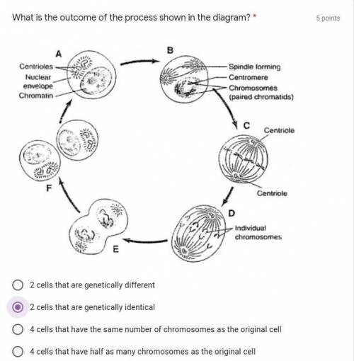 Please help me, I attached the question because it has a picture for the question. help ASAP