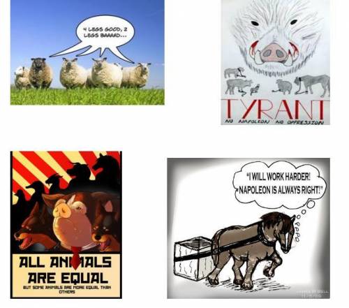 Which image do you feel is the best representation of the novel Animal Farm? Explain.
