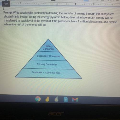 Prompt Write a scientific explanation detailing the transfer of energy through the ecosystem

show