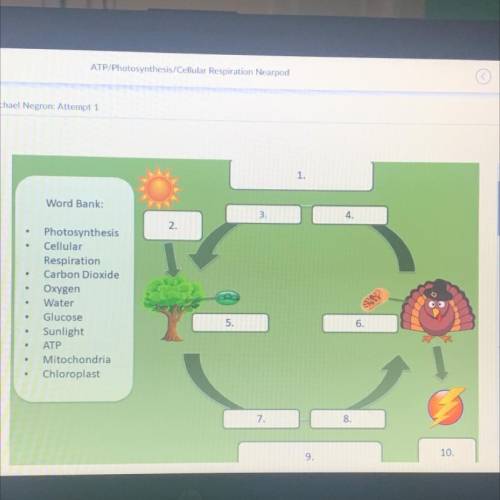 Match each labeled portion of the diagram to the correct term.