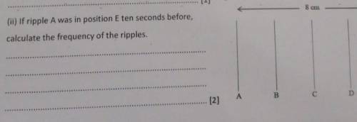 (ii) If ripple A was in position E ten seconds before,

8 cmcalculate the frequency of the ripples