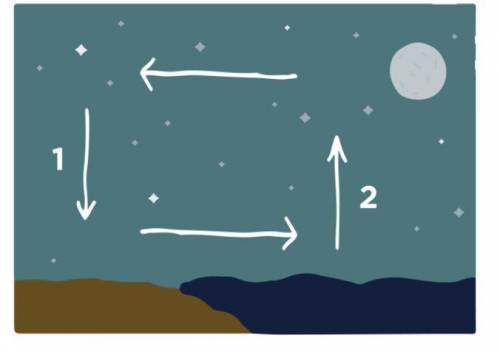 How should Point 2 on the Land Breeze diagram be labeled?

a
Cool air, high pressure
b
Cool air, l