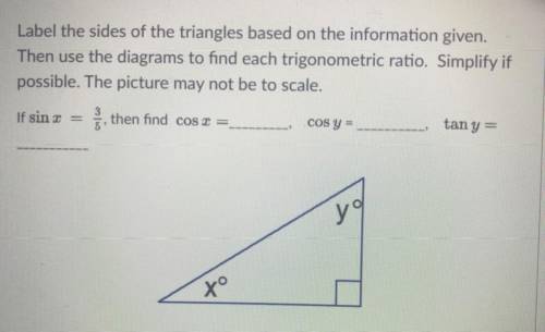 We need to label the sides of the triangles based on the information given.