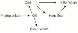 The food web below represents the organisms of a large community. The arrows show the direction of