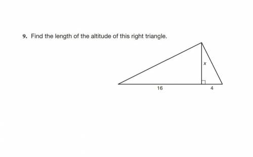 Can anyone please help me on questions 2-13?