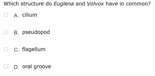 Help me with these 2 questions, thanks!