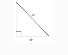 If the perimeter of the triangle is 60, what is the value of y?