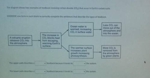 Please help me with this and answer correctly. Brainliest will give!!