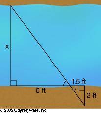 Use similar triangles to find the value of x.

 9 feet
0.5 feet
8 feet
4.5 feet