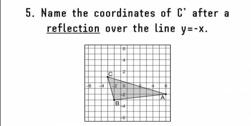 Please help!!! Ill mark brainliest if correct!