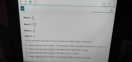 Which statement describes the step and the error adam made in that step?