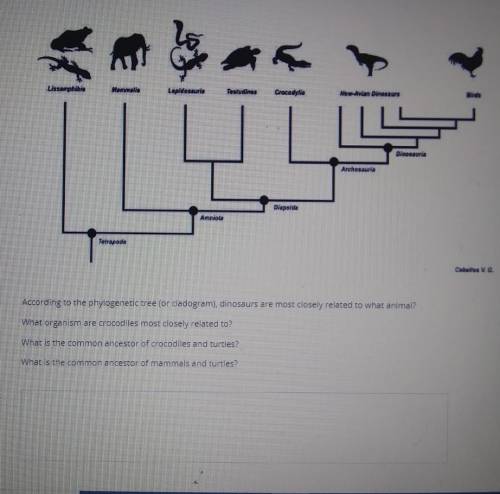 View the diagram and answer the questions below