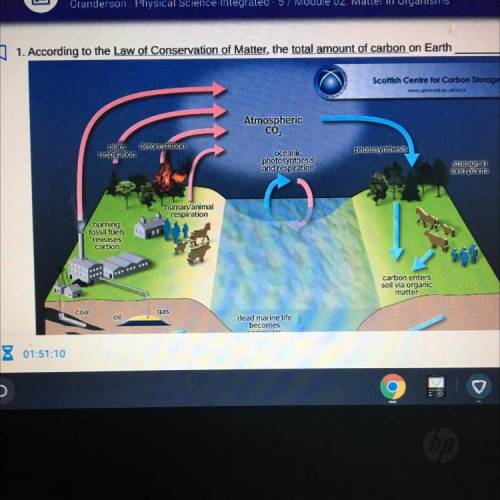 According to the Law of Conservation of Matter, the total amount of carbon on Earth.

A. increase