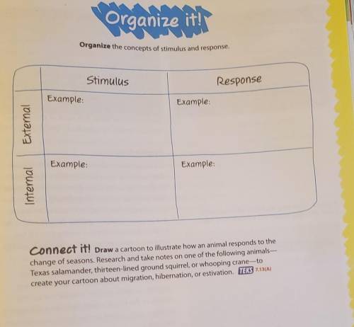 Organize the concepts of stimulus and response Stimulus Response Example Example: External Example