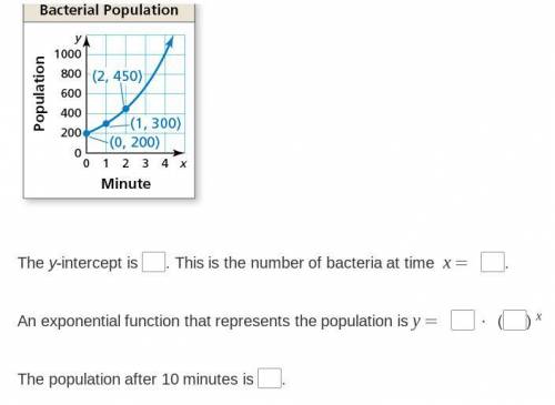 The graph shows the population y of a bacterial colony after x minutes.

Identify and interpret th