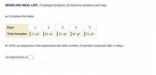 Can someone pls help meh fill in the last one ?