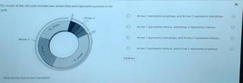 26. This model of the cell cycle includes two arrows that each represent a process in the cycle. Ar