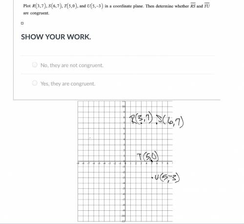 Did I do this right? If so, are they congruent or not?