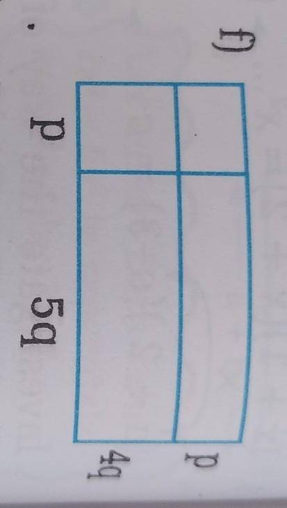 Plz guys help me to find the area of this rectangle.
